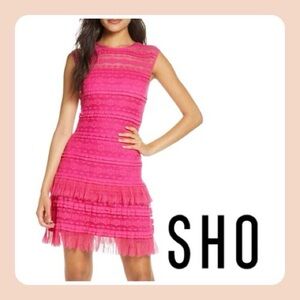 SHO Tadashi Shoji | Pink Crinkle Lace Dress
